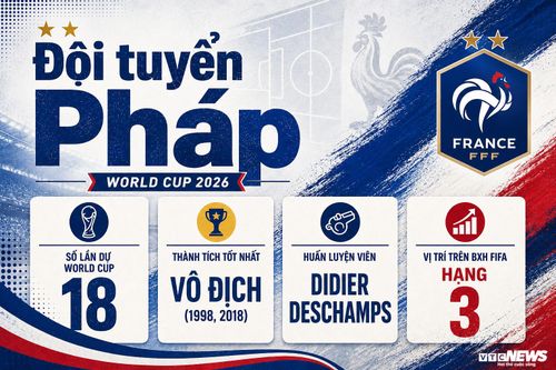 Thông tin đội tuyển Pháp