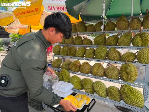Theo tiểu thương, sầu riêng giá rẻ chủ yếu là hàng dạt, ít múi hoặc chất lượng không đồng đều.