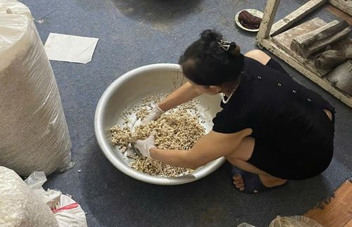 Sau khi rang nổ, bỏng được trộn đều bằng tay với đường phên, lạc, vừng và gia vị trước khi ép khuôn. Ảnh:MK