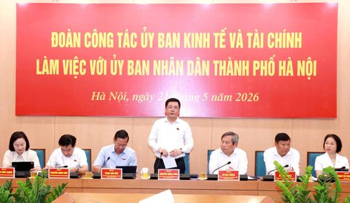 Phó Chủ tịch Quốc hội Nguyễn Hồng Diên phát biểu tại buổi khảo sát tại thành phố Hà Nội mới đây . Ảnh: Đình Hiệp