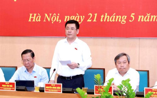 Phó Chủ tịch Quốc hội Nguyễn Hồng Diên phát biểu. Ảnh: Đình Hiệp