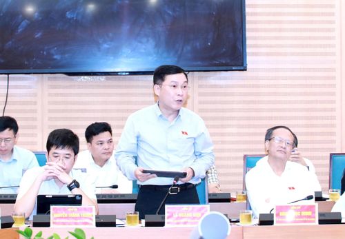 Ủy viên chuyên trách Ủy ban Kinh tế và Tài chính của Quốc hội Lê Hoàng Anh phát biểu. Ảnh: Đình Hiệp