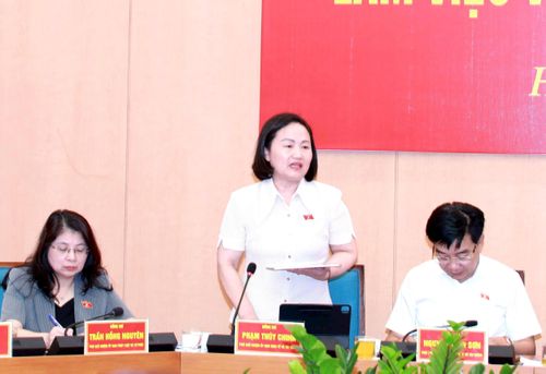 Phó Chủ nhiệm Ủy ban Kinh tế và Tài chính của Quốc hội Phạm Thúy Chinh phát biểu. Ảnh: Đình Hiệp