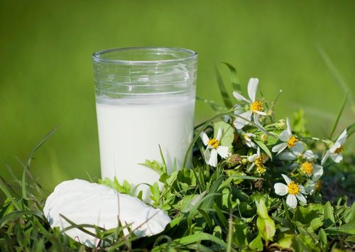 Nước sắn dây thanh nhiệt, giảm cảm giác khát nước.