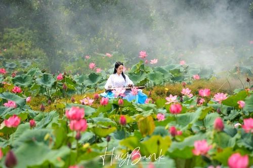 Nhu cầu tạo ra hình ảnh về việc đang hiện diện ở điểm đến ngày càng cao. Ảnh: Nguyễn Sanh Quốc Huy