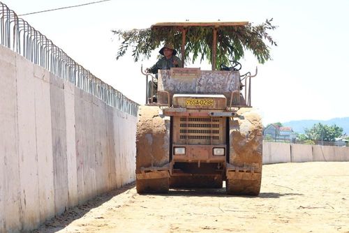 Công nhân vận hành máy lu linh hoạt dùng lá cây che nắng để giảm bớt cái nóng oi bức