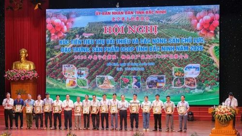 Ban Tổ chức khen thưởng các vườn vải đẹp lần 1.