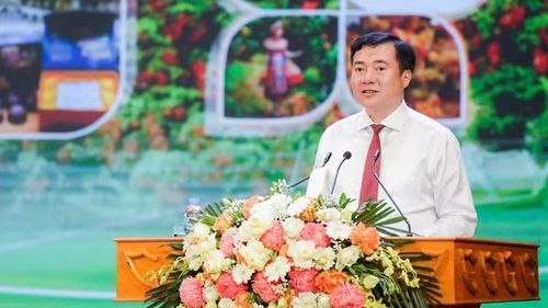 Thứ trưởng Công thương Nguyễn Sinh Nhật Tân phát biểu.