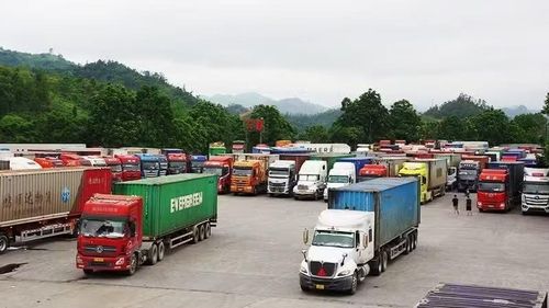 Xe chở sầu riêng đang chờ ở khu vực cửa khẩu Tân Thanh, tỉnh Lạng Sơn.