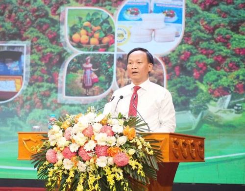 Ông Phạm Văn Thịnh, Phó Chủ tịch UBND tỉnh phát biểu.