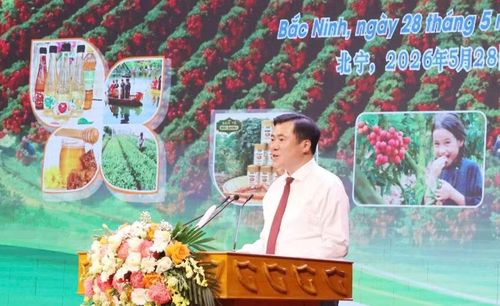 Ông Nguyễn Sinh Nhật Tân, Thứ trưởng Bộ Công Thương phát biểu tại hội nghị.