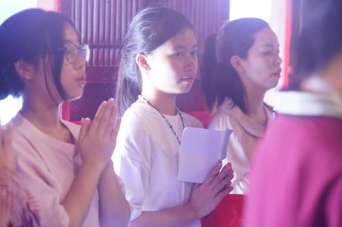 "Mong muốn của em là đỗ vào trường THPT Yên Hòa. Em chuẩn bị khá tốt kiến thức, tuy nhiên em vẫn có chút lo lắng nên em đến Văn Miếu để dâng hương, cầu được may mắn trong kỳ thi sắp tới", em Nguyễn Phương Thanh (2011) chia sẻ.