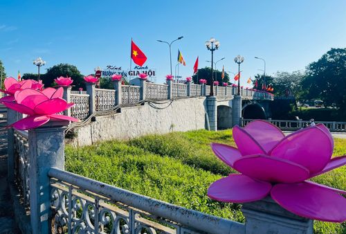 Cầu Gia Hội được trang trí hơn 100 bông sen hồng. Ảnh Lê Bằng
