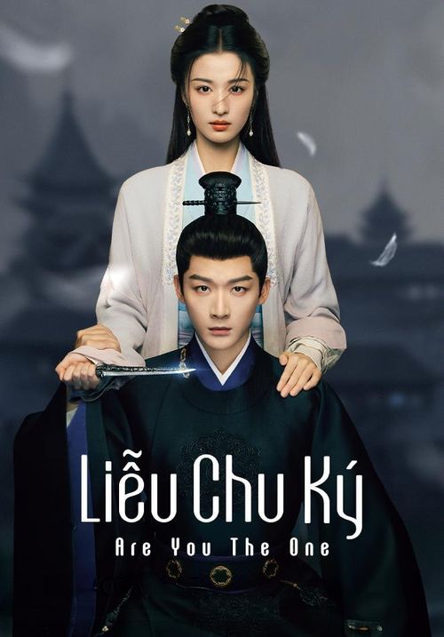 Liễu Chu Ký được xem là một trong những bất ngờ của dòng phim cổ trang hai năm qua nhờ cách kết hợp hài hước, lãng mạn và âm mưu triều đình. Mô-típ vợ chồng giả thành thật giúp phim tạo được nhiều khoảnh khắc nhẹ nhàng, dễ xem. Diễn xuất tự nhiên của Trương Vãn Ý và Vương Sở Nhiên cũng góp phần giữ chân khán giả.