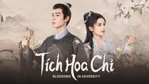 Không quá ồn ào khi phát sóng nhưng Tích Hoa Chỉ lại là tác phẩm được nhiều khán giả đánh giá có giá trị xem lại cao. Bộ phim tập trung vào hành trình vực dậy gia tộc của Hoa Chỉ, khai thác tinh thần độc lập và bản lĩnh của phụ nữ trong bối cảnh cổ đại. Mạch phim nhẹ nhàng, cảm xúc cùng thông điệp về gia đình là điểm khiến tác phẩm được yêu thích lâu dài.