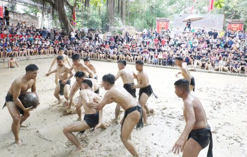  Các “quân cầu” đeo bám để giành cầu. 