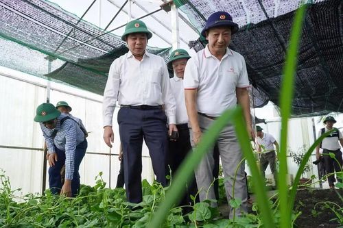 Phó Chủ tịch UBND tỉnh Lâm Hải Giang thăm vườn rau trên đảo Sinh Tồn Đông. Ảnh: Mỹ Hà