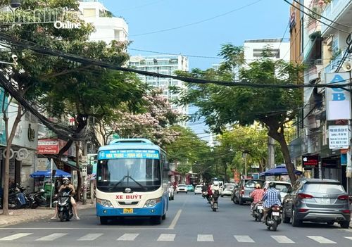 Xe buýt Quyết Thắng chạy trên đường Quang Trung, phường Nha Trang.