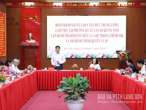 Đồng chí Nguyễn Thanh Bình, Phó Trưởng Ban Tổ chức Trung ương phát biểu tại buổi làm việc