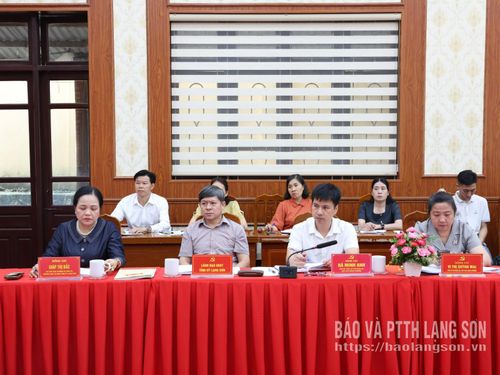 Các đại biểu dự buổi làm việc