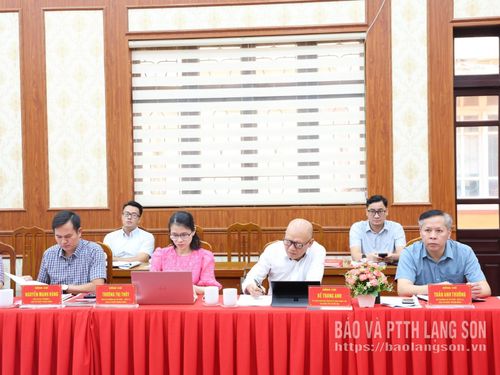 Các đại biểu dự buổi làm việc