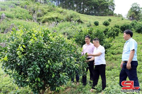 Từ nguồn vốn vay chính sách, nhân dân xã Mường Cơi đầu tư mở rộng các mô hình kinh tế hiệu quả.