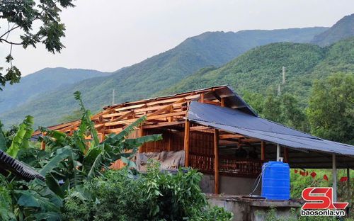 Gió lốc làm tốc mái hộ dân tại bản Ảng, xã Pắc Ngà.