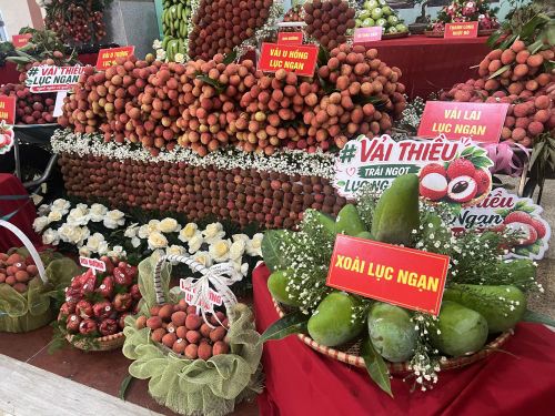 Gian hàng trưng bày sản phẩm của xã Lục Ngạn.