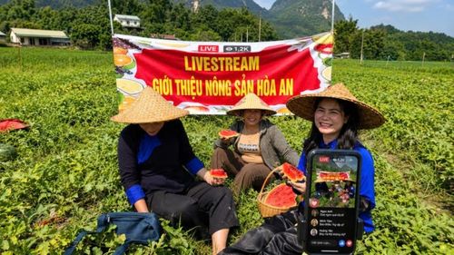 Dù nền nhiệt ngoài trời tăng cao, nhiều người bán hàng vẫn tất bật livestream giới thiệu nông sản, đặc sản địa phương tới khách hàng trên các nền tảng mạng xã hội.