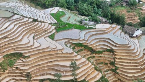 Dưới ánh bình minh, cả không gian như bừng sáng khi hoàng hôn buông xuống, mặt nước lại nhuộm sắc trầm lặng, huyền ảo. Đây cũng là thời điểm lý tưởng để du khách chiêm ngưỡng vẻ đẹp “siêu thực” của những thửa ruộng bậc thang vùng núi Tây Bắc. 