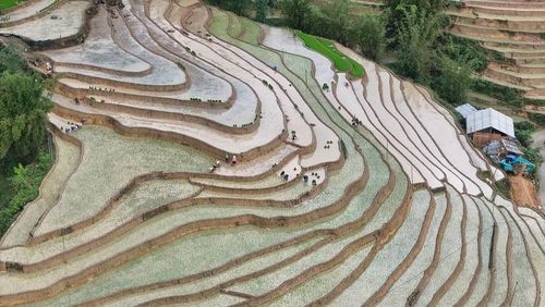  Khác với những cánh đồng bằng phẳng miền xuôi, ruộng vùng cao chồng lớp theo triền núi, mỗi tầng là một gam màu riêng, nơi ánh bạc của nước, nơi vàng nâu của phù sa, nơi xanh dịu của mạ non. 