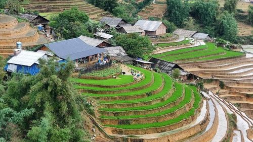  Chỉ khi đặt chân đến nơi đây, đứng giữa mênh mông ruộng nước, ngắm nhìn những đường cong ruộng bậc thang phản chiếu trời mây và ánh nắng, hít hà mùi bùn đất, mùi cỏ mới... mới thực sự cảm nhận được vẻ đẹp sống động và kỳ diệu của vùng đất nơi đây. 