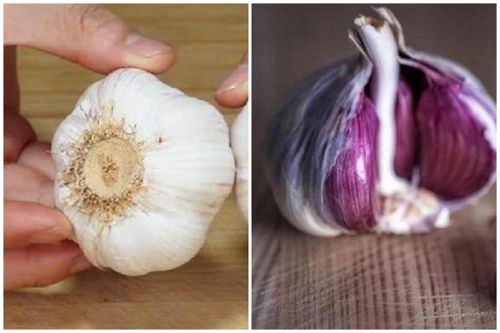 Tỏi vỏ trắng hay vỏ tím tốt hơn?