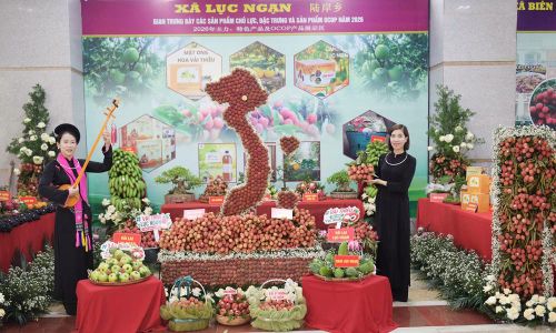 Gian trưng bày sản phẩm của xã Lục Ngạn, một trọng những địa phương có diện tích vải thiều lớn nhất tỉnh Bắc Ninh.