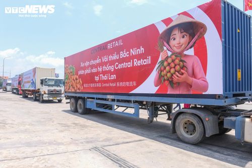 Central Retail đưa vải thiều Bắc Ninh vào mạng lưới hơn 300 cửa hàng và trung tâm thương mại trên toàn quốc.