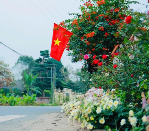 Sắc hoa rực rỡ tại xã Yên Bài. Ảnh: YB