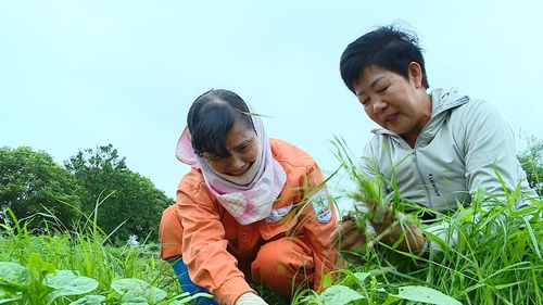 Nhờ chuyển đổi số, người nông dân yên tâm canh tác sản phẩm sạch có đầu ra bền vững. Ảnh: Bảo Thoa