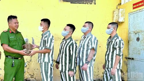 Can, phạm nhân Cà Mau nhận bánh tét nhân dịp Tết Nguyên đán Bính Ngọ 2026.