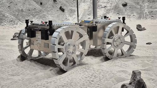Các chuyên gia phát triển robot tự hành trên sao Hỏa mới lấy cảm hứng từ thằn lằn sa mạc. Ảnh: Marco Schmidt/Universität Würzburg.