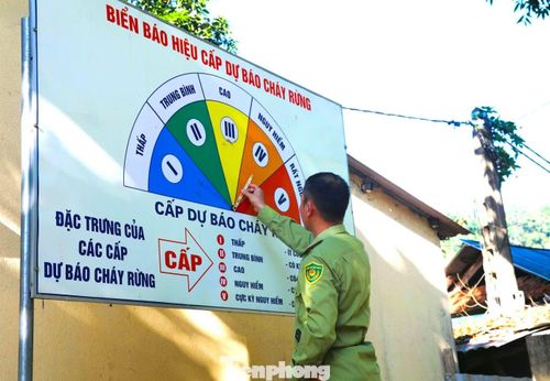 Mức dự báo cháy rừng đã được nâng kên mức IV, mức nguy hiểm.