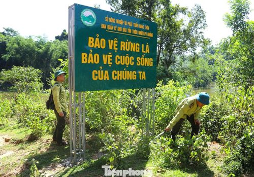 Giám đốc Khu Bảo tồn cho biết thêm, thời gian cao điểm cháy rừng kéo dài từ tháng 4 đến tháng 9 hằng năm, đặc biệt trong khung giờ từ 10h đến 16h. Nguyên nhân chủ yếu đến từ hoạt động đốt thực bì làm nương rẫy, xử lý đất trồng rừng và việc người dân vào rừng lấy mật ong bằng lửa.