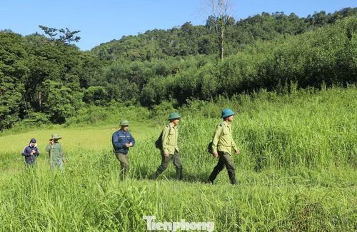 Giữa thời tiết khắc nghiệt, lực lượng kiểm lâm Khu Bảo tồn Thiên nhiên Pù Huống vẫn ngày đêm bám rừng, tăng cường tuần tra, trực chốt để bảo vệ hơn 46.460ha rừng.
