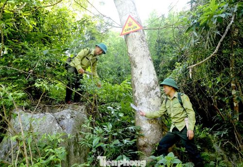 Khu Bảo tồn Thiên nhiên Pù Huống là một trong ba vùng lõi của Khu Dự trữ Sinh quyển Thế giới miền Tây Nghệ An do UNESCO công nhận. Trong tổng diện tích quản lý có hơn 40.150ha rừng đặc dụng, địa hình hiểm trở, nhiều khu vực giáp ranh với rừng sản xuất của người dân nên nguy cơ cháy luôn tiềm ẩn vào mùa khô.