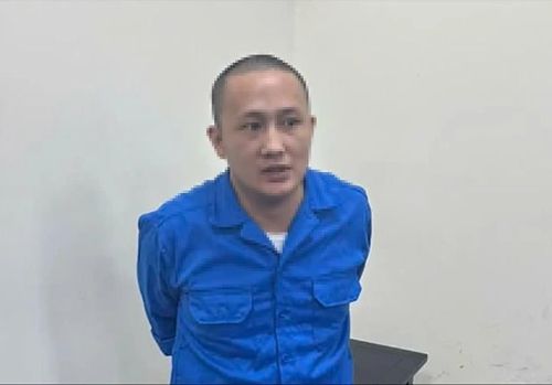 Bị cáo Đỗ Hoàng Anh tại phiên tòa.