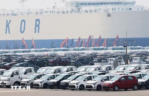 Ôtô chờ xuất khẩu tại cảng Hàn Quốc. (Ảnh: Yonhap/TTXVN
