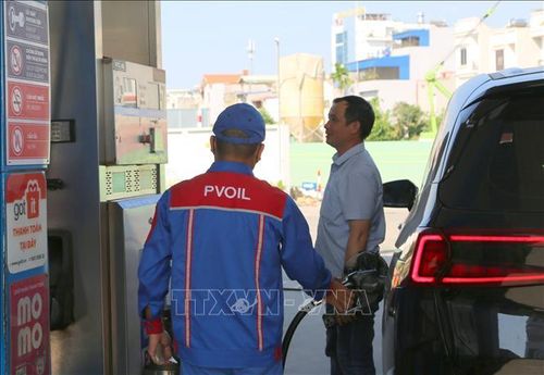 Sản lượng xăng bán ra tại Cửa hàng xăng dầu Thành Tô tăng lên từ khi bán 100% xăng E10.