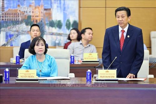 Phạm Thanh Tịnh, Chủ tịch Hội nghiên cứu Khoa học về Đông Nam Á – Việt Nam phát biểu. Ảnh: Minh Đức/TTXVNXVN