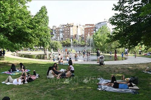 Người dân tránh nóng trong công viên tại Madrid, Tây Ban Nha. Ảnh: THX/TTXVN