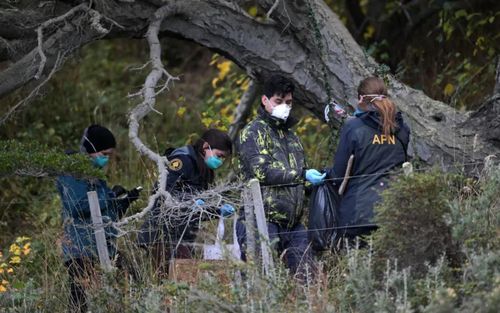 Đầu tháng này, các nhà khoa học đã bắt những con chuột ở Ushuaia, Argentina, để xác định xem virus hantavirus đã lây lan đến khu vực này hay chưa. Ảnh: AFP/Getty Images