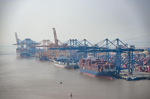 Hiệu suất khai thác cảng Lạch Huyện của CTCP Cảng Hải Phòng cải thiện tích cực nhờ hợp tác với hãng tàu MSC. Ảnh: Hoàng Anh.